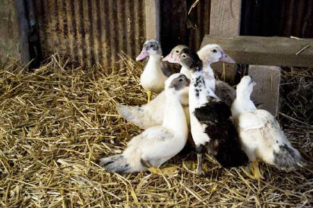 Reasons I Joined a Cooperative Living Situation Image